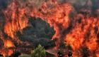 Algérie: les incendies menacent les forêts d'extinction