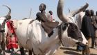 العنف العشائري يطوق جنوب السودان.. 27 قتيلا بسبب الأبقار
