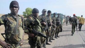 عناصر من الجيش الكاميروني - أرشيفية