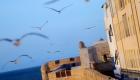 الصويرة.. مدينة الرياح وأرض الحب والتعايش في المغرب