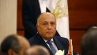 مصر تطالب بتكثيف جهود مكافحة التنظيمات الإرهابية بـ"الساحل"