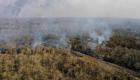 Bolivie : des incendies criminels dévastent plus de 600.000 hectares