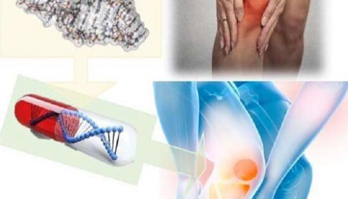 علاج محتمل لالتهاب المفاصل