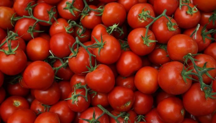 طماطم Heirloom tomato