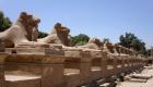 مصر تستعد لحدث تاريخي جديد في نوفمبر.. افتتاح عالمي لـ"طريق الكباش" 