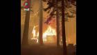 Kaliforniya'daki orman yangınları yerleşim alanlarına sıçradı