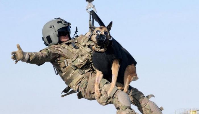 جندي برفقة أحد الكلب - واشنطن تايمز