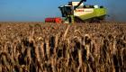 Agriculture : les cours du blé flambent face à une forte demande sur le marché européen