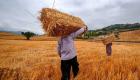 عزوف المزارعين يدفع إيران لاستيراد القمح من روسيا