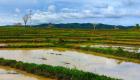 Soudan-Pays Bas : Lancement d’un appel à projets pour l’agriculture pluviale