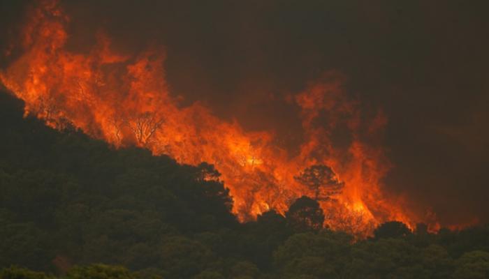حريق غابات بجنوب إسبانيا