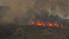 صور.. الرياح تؤجج حريق غابات قرب منتجع إسباني