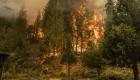 Biden, orman yangınlarının tahrip ettiği California'yı ziyaret ediyor