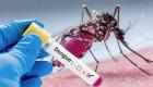 France : La dengue présente en Île-de-France