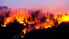 جنگل‌های گلستان در محاصره آتش؛ خبری از بالگرد نیست