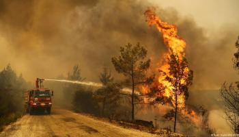 Sayıştay'dan 'orman yangınları' raporu