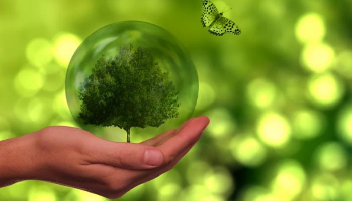 بعض مما ستراه في رحلة العمر إلى إكسبو 2020 دبي