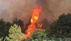 Manavgat'taki orman yangınıyla ilgili İki çocuk yargılanıyor!