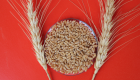 Ekmeklik buğdaya yüzde 23, arpaya yüzde 24 zam!