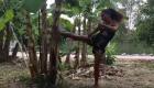 Une championne de boxe détruit un arbre en lui mettant des kicks