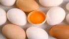 بيض الدجاج.. هل يمنح البشرية وصفة الخلاص من كورونا؟