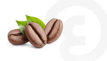 القهوة المشروب الصباحي المفضل لدى العديد من الأشخاص