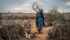 كنوز الصومال.. موارد طبيعية تائهة بين تهديدات أمنية وجفاف