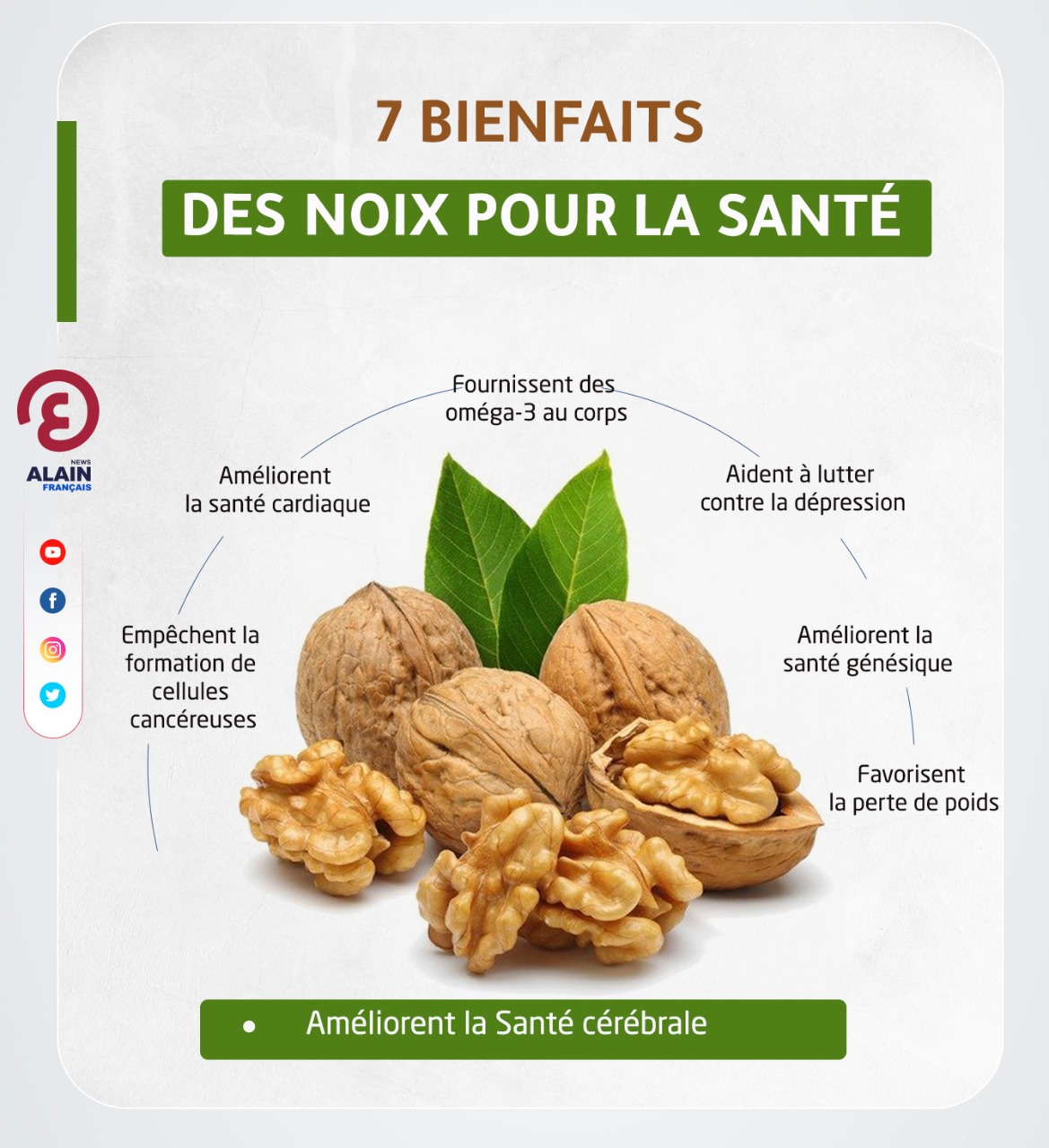 5 bienfaits des cerneaux de noix - Fidafruit