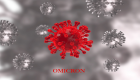 Coronavirus : un décès sur deux désormais liée au variant Omicron