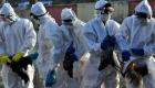 أوروبا تواجه "أكبر وباء إنفلونزا الطيور".. إعدام 48 مليون طائر