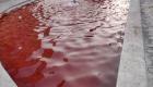 آب حوض‌های تهران رنگ خون گرفت