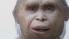 کشف انسان هابیت ۷۰۰ هزار ساله در اندونزی