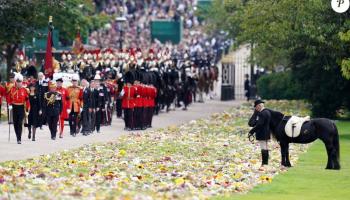 Emma, le poney préféré de la reine Elizabeth II restera pour toujours à Windsor