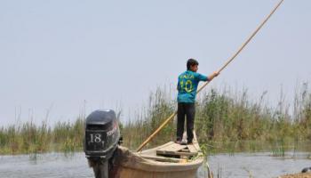 صياد عند هور الدملج جنوب العراق