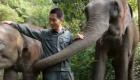 إنجازات الصين لحماية البيئة.. تعزيز الانسجام بين الإنسان والأفيال