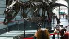«تی‌رکس» ۶۸ میلیون ساله در هنگ‌کنگ به حراج گذاشته شد