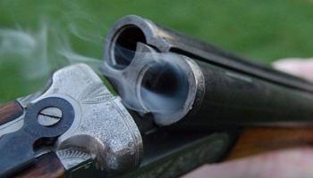 بندقية - أرشيفية