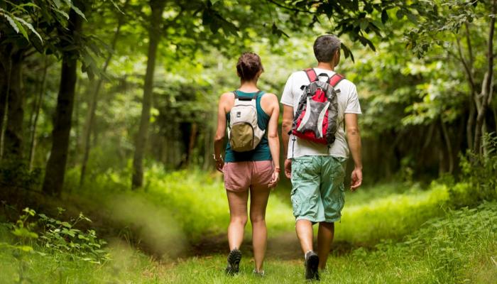 Randonner en pleine nature… un trésor de bienfaits pour votre santé mentale et physique