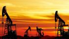 BAE: OPEC+ petrolde arz talep dengesini koruyan teknik kuruluş olarak kalacak