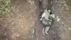 فيديو.. كيف تعامل جندي روسي حاصرته قنابل مروحية أوكرانية؟