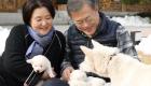 كلاب كيم جونج أون "تتسلل" للقصر الرئاسي في كوريا الجنوبية