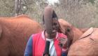 ویدئو | یک بچه فیل پخش زنده تلویزیونی را «عمدا» مختل کرد!