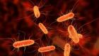 دراسة: البكتيريا ثاني أكبر سبب للوفيات في العالم