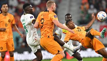 موعد مباراة هولندا والإكوادور في كأس العالم 2022 والقنوات الناقلة