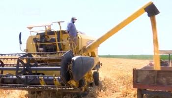 التنمية الزراعية في العراق