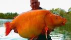 صید ماهی‌ قرمز غو‌ل‌پیکر با وزن ۳۰ کیلوگرم! (+ویدئو)
