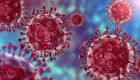 احیای ویروس زامبی در سیبری؛ آیا تبدیل به اپیدمی جدیدی می‌شود؟