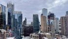 شکار موش: شغلی رویایی با درآمد بالا در شهرداری نیویورک
