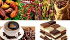 Cacao, soja, café et d'autres produits interdits en Europe, pourquoi ?