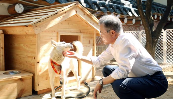 Moon Jae-In avec les chiens de Kim Jong Un
